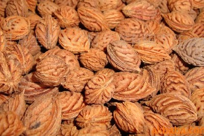 ë