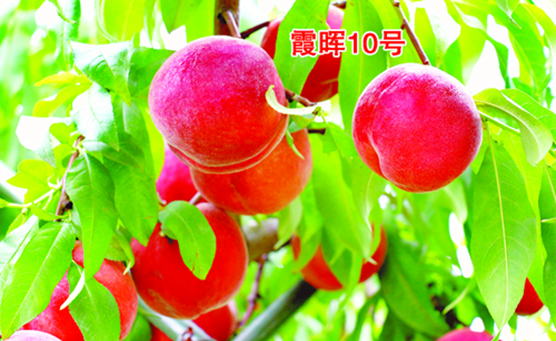 ϼ10