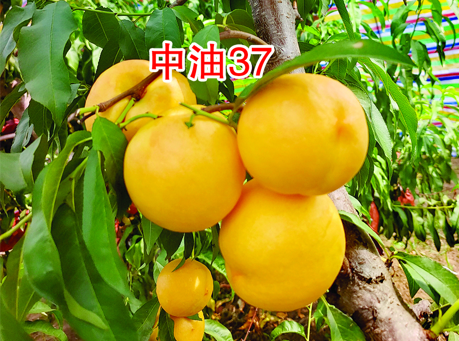 ����37